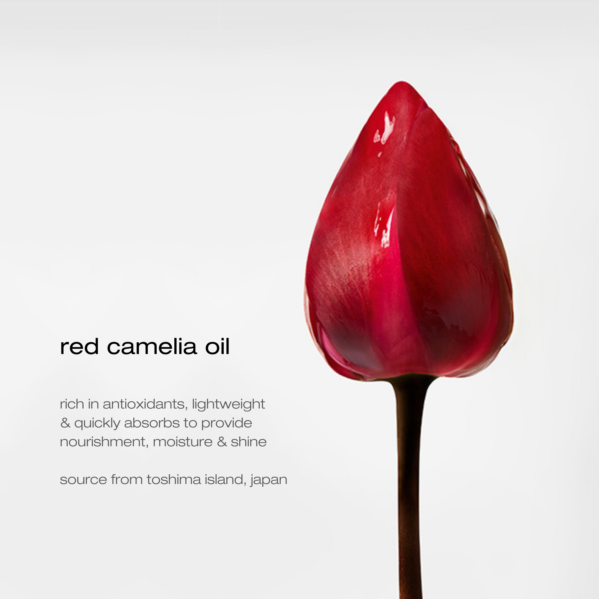 Essence Absolue Oil by Shu Uemura