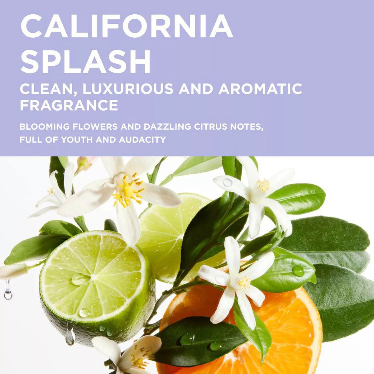 Advertisement for 'California Splash' with flowers, lime, and orange on a light purple background.