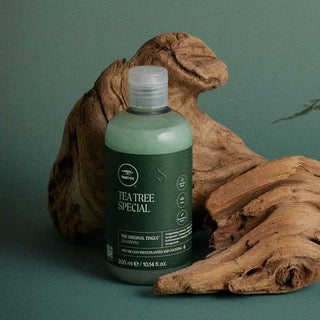 Paul Mitchell Tea Tree Special Shampoo Refreshing Scalp Cleanse