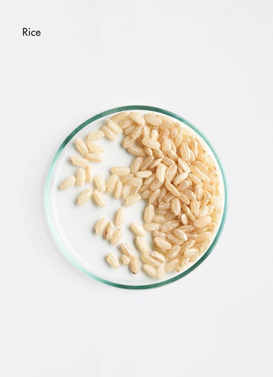 Rice grains in a glass bowl on a white background