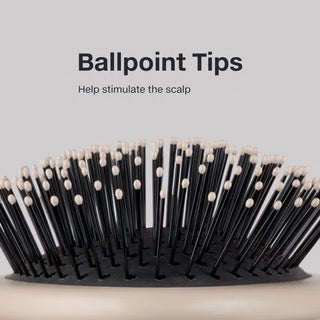 Hairbrush with ballpoint tips on a gray background Paul Mitchell Detangling Brush for wet and dry hair detangling in Canada