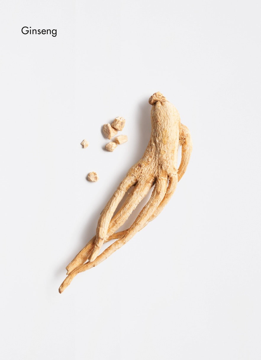 Dried ginseng root on a light gray background