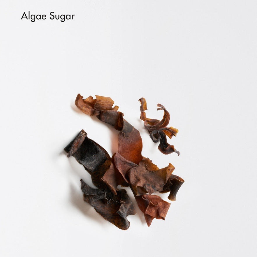 A small pile of dried, curled seaweed strips labeled 'Algae Sugar' on a clean white background.