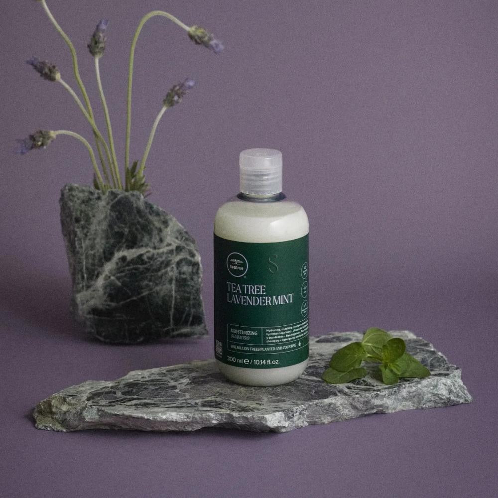 Paul Mitchell Lavender Mint Moisturizing Shampoo for dry coarse hair in Canada at Curious Salons