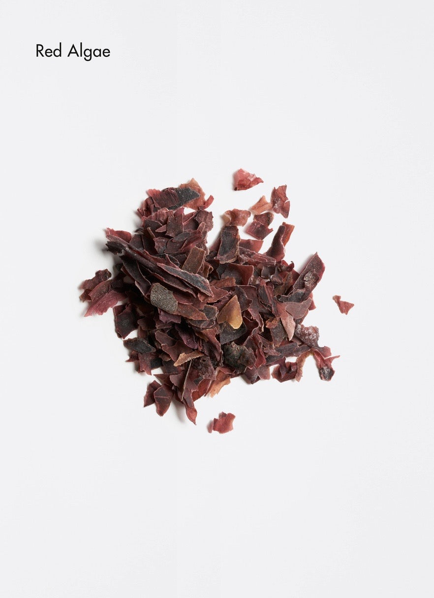 Structure Repair Hydrating Drops by La Biosthétique Paris