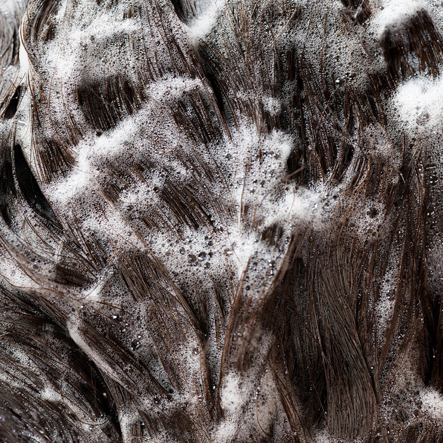 Close-up on hair with of Oribe Signature Shampoo luxury daily shampoo for all hair types in Curious Salons Canada 