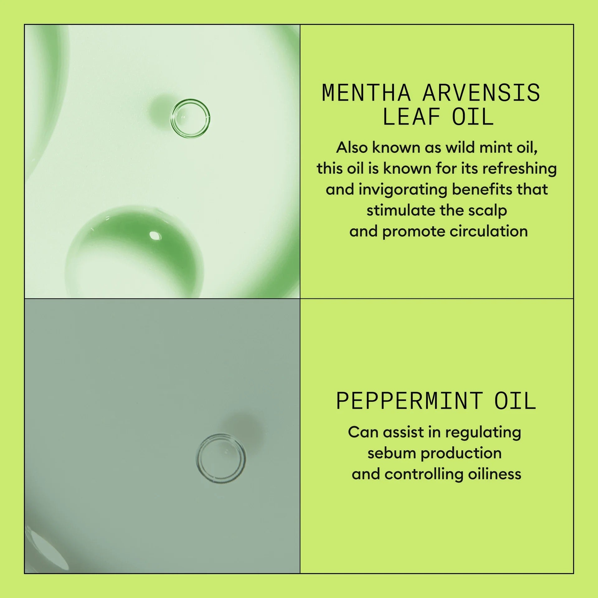 NIOXIN System 2 Scalp Therapy Conditioner (Canada) — Lightweight Strengthening Conditioner for Natural, Progressively Thinning Hair