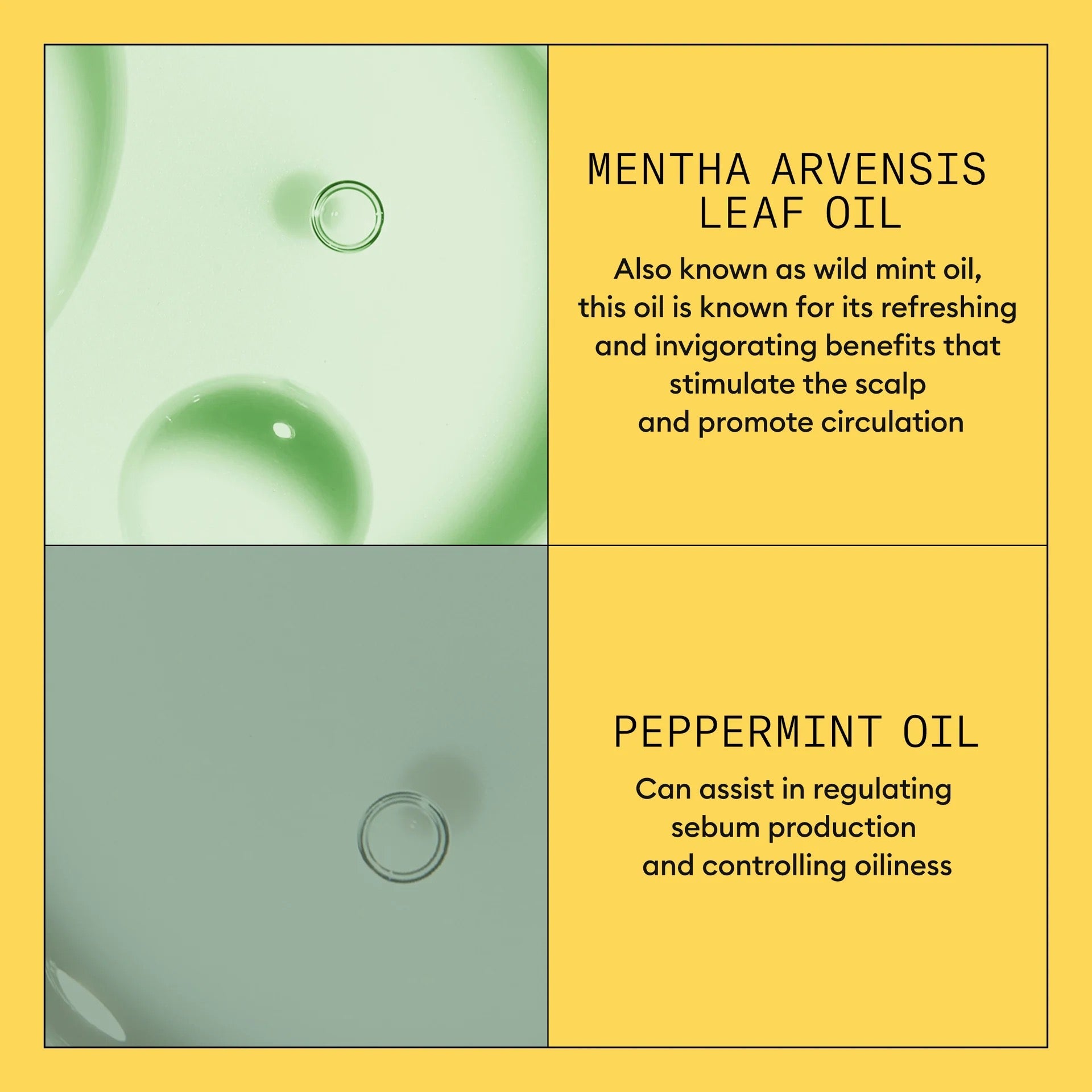 NIOXIN System 1 Scalp Therapy Conditioner (Canada) — Lightweight Hydration for Natural, Lightly Thinning Hair