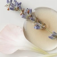 COLOUR SAVOUR SULFATE-FREE SHAMPOO by AG