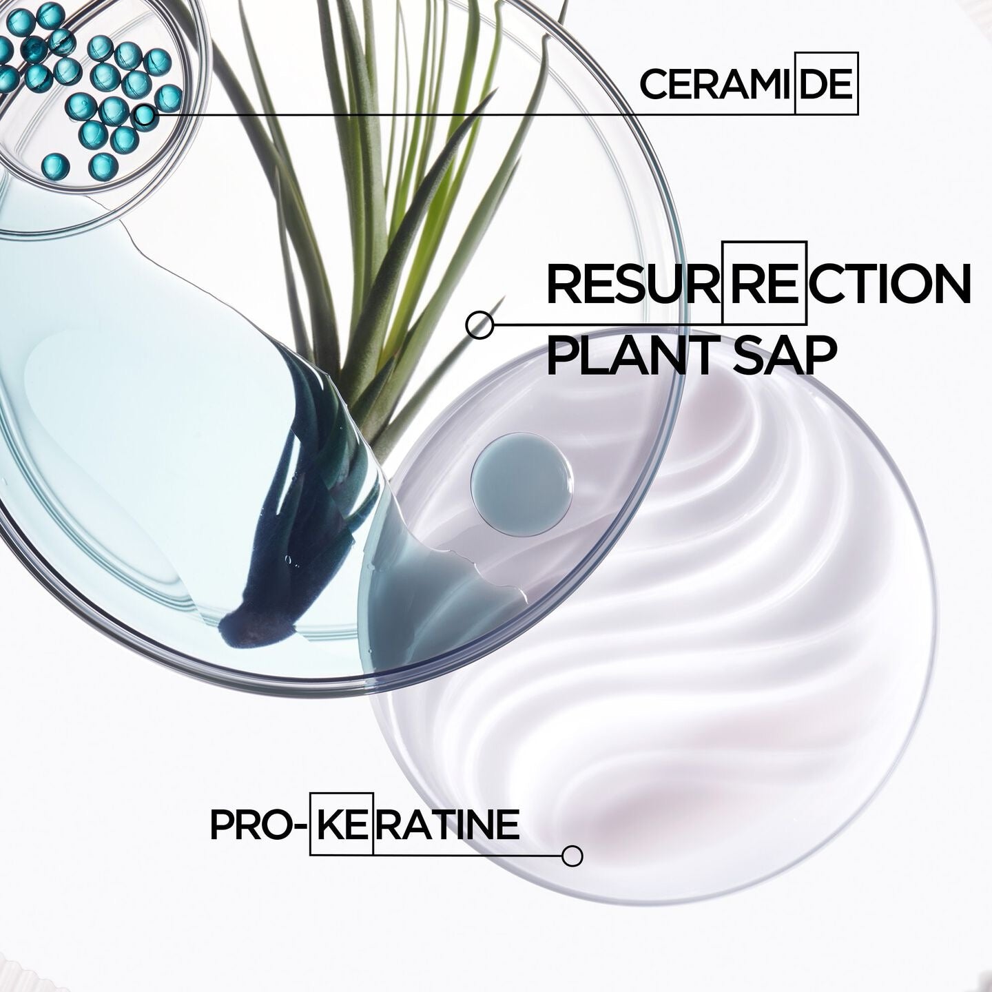 iKérastase Résistance Bain Force Architecte Shampoo bottle for strengthening damaged hair ing.