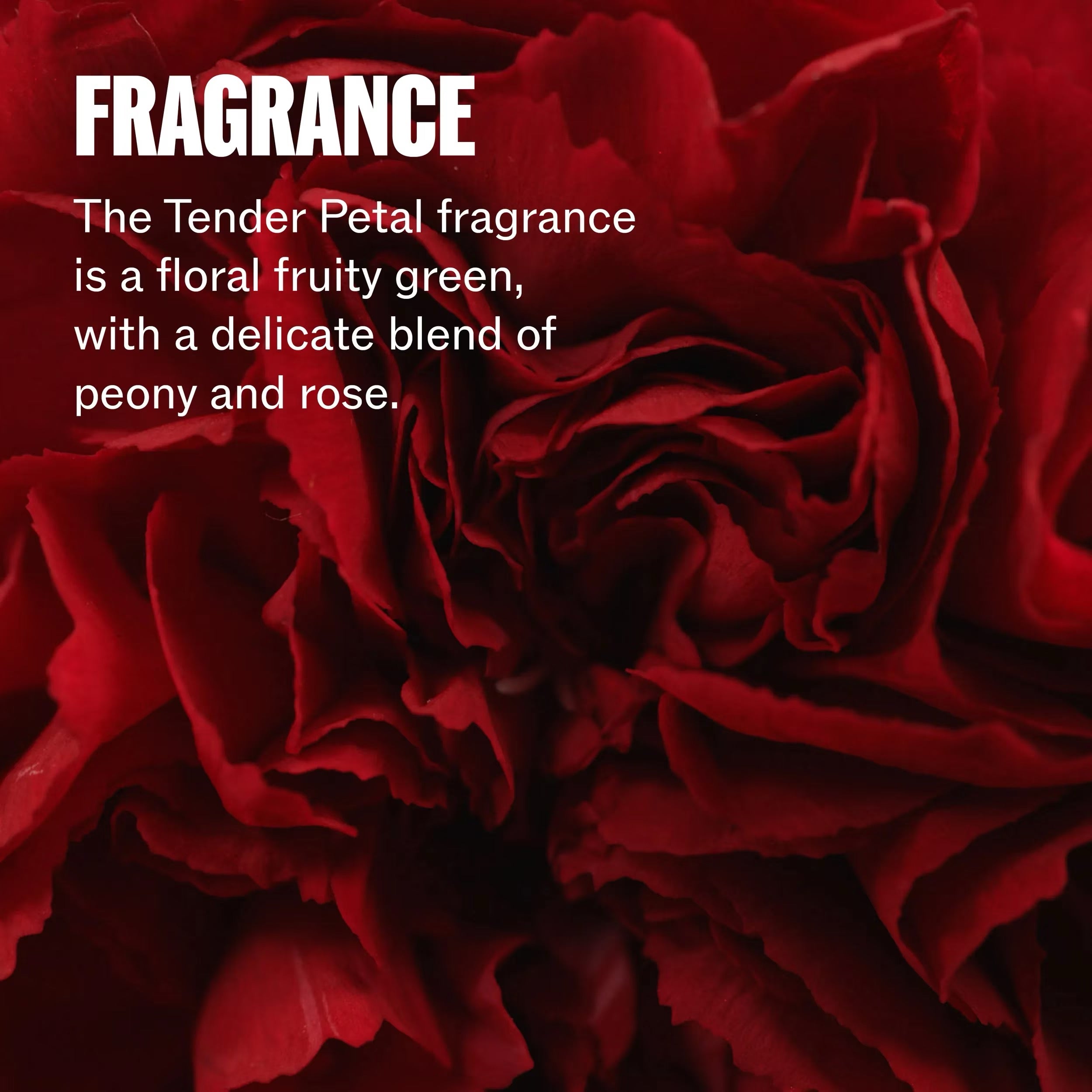 Close-up of red roses with text describing fragrance notes.of Wella Ultimate Repair Shampoo bottle for damaged hair repair and professional Wella haircare in Canada