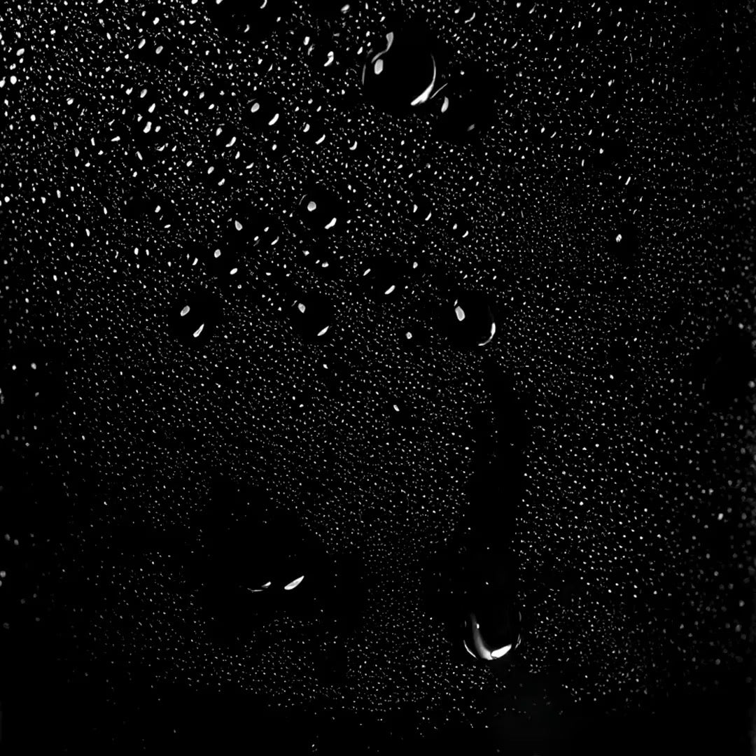 Close-up of a horse's face with water droplets on a black background
