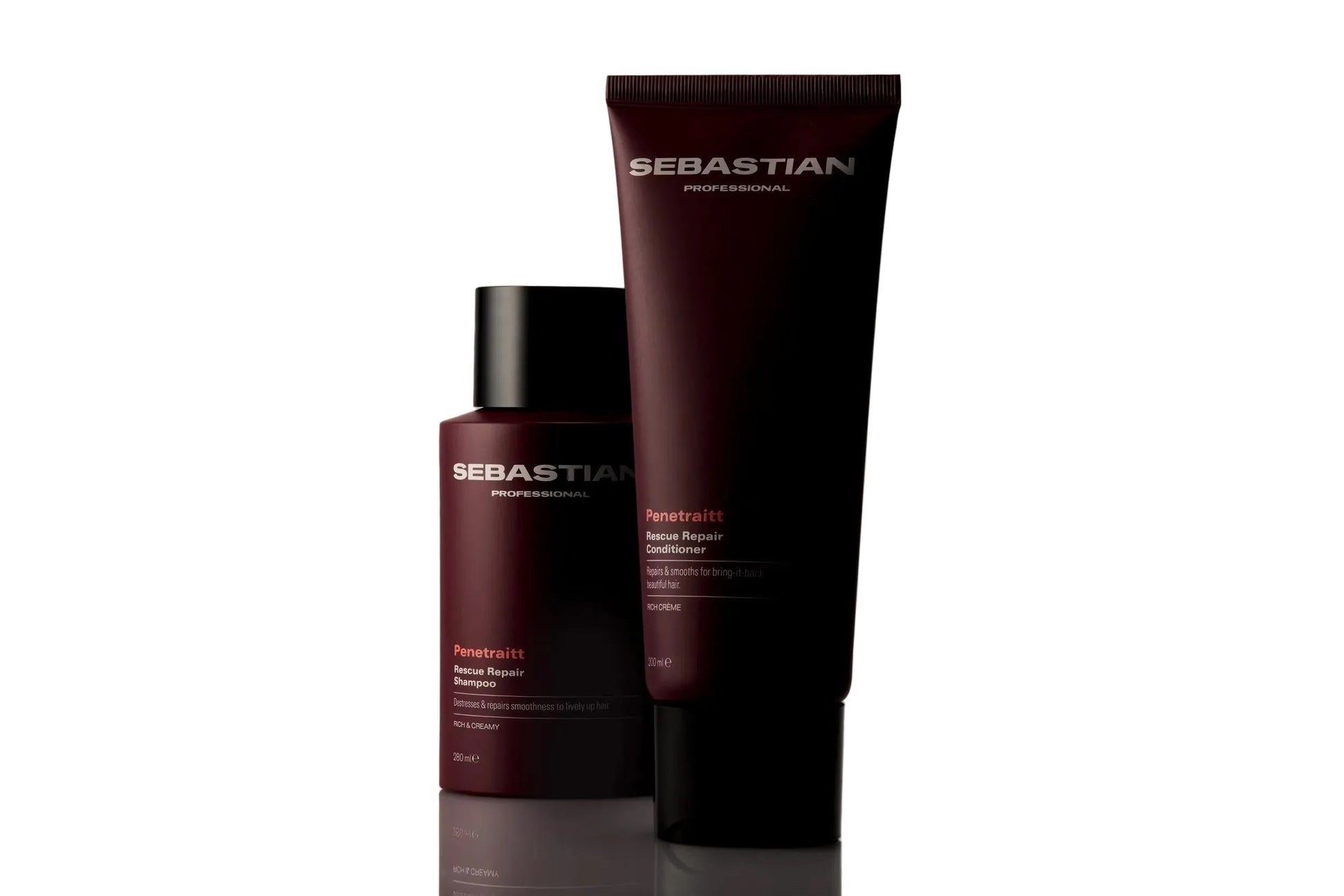 Sebastian hair care shampoo and conditioner Curious Salons Calgary 