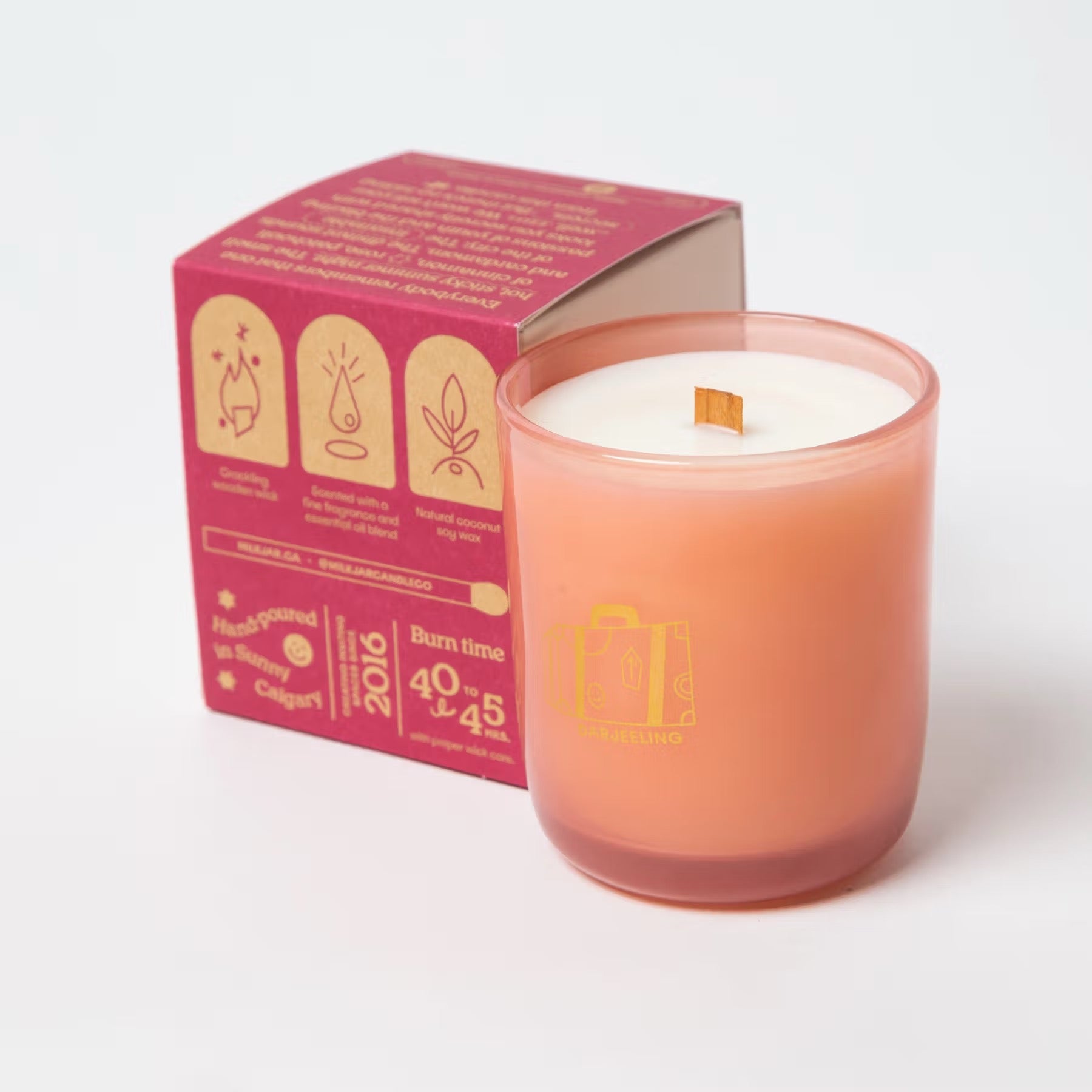 Darjeeling 8 oz Candle by Milk Jar Candle Co.