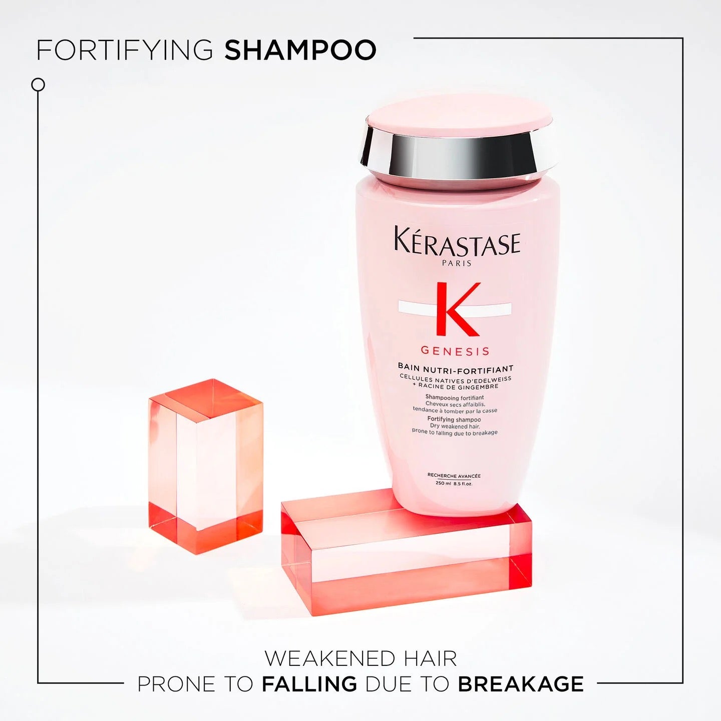 Kérastase Genesis Bain Nutri-Fortifiant Shampoo for dry weakened hair in Canada at Curious Salons 