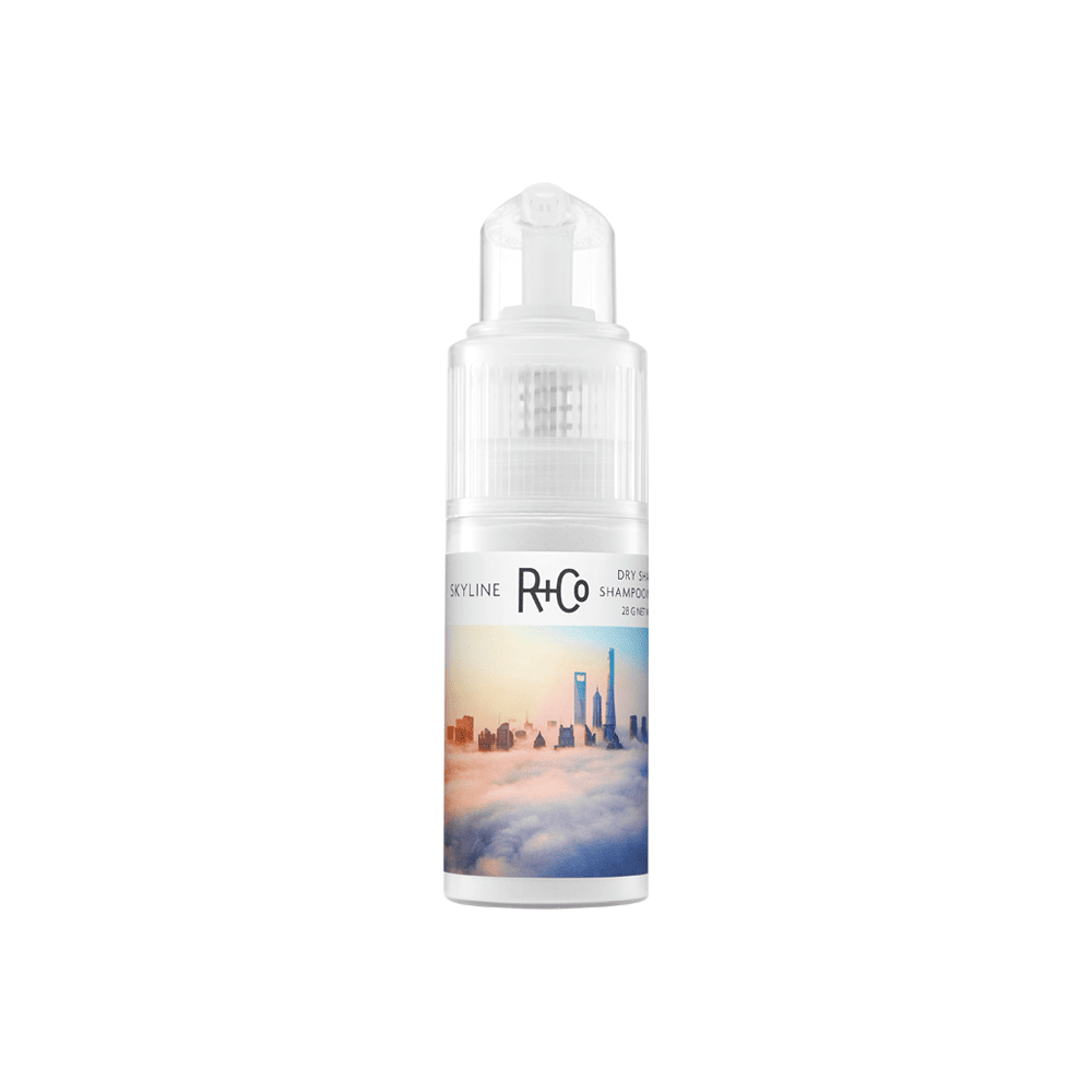 Skyline Dry Shampoo Powder by R+Co