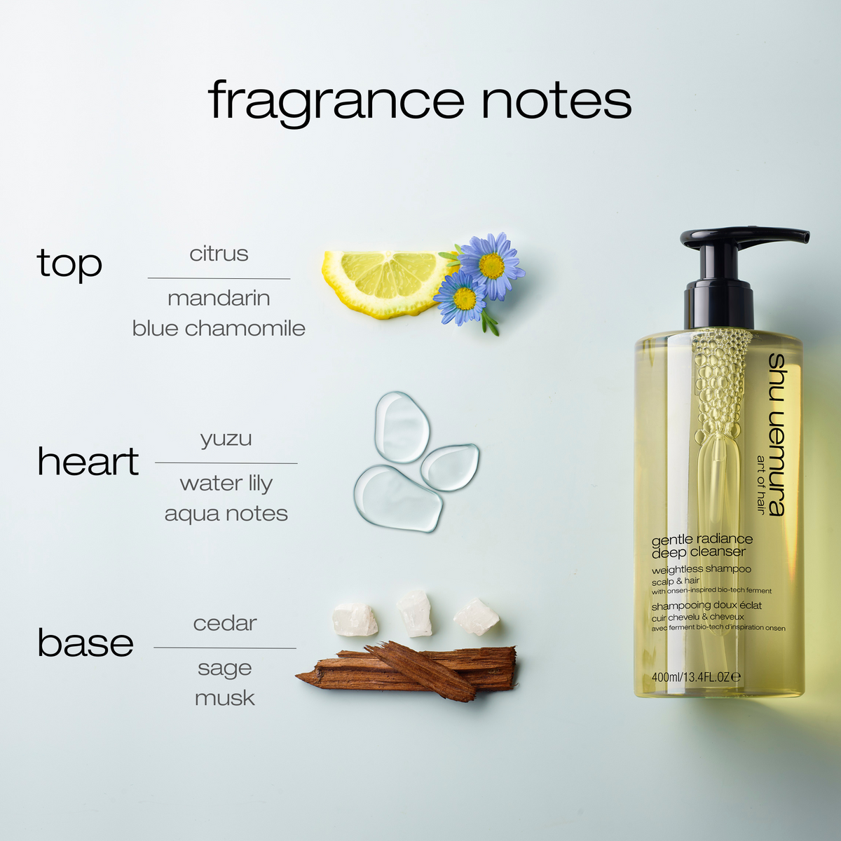 Shampoo bottle with fragrance notes on a light blue background
