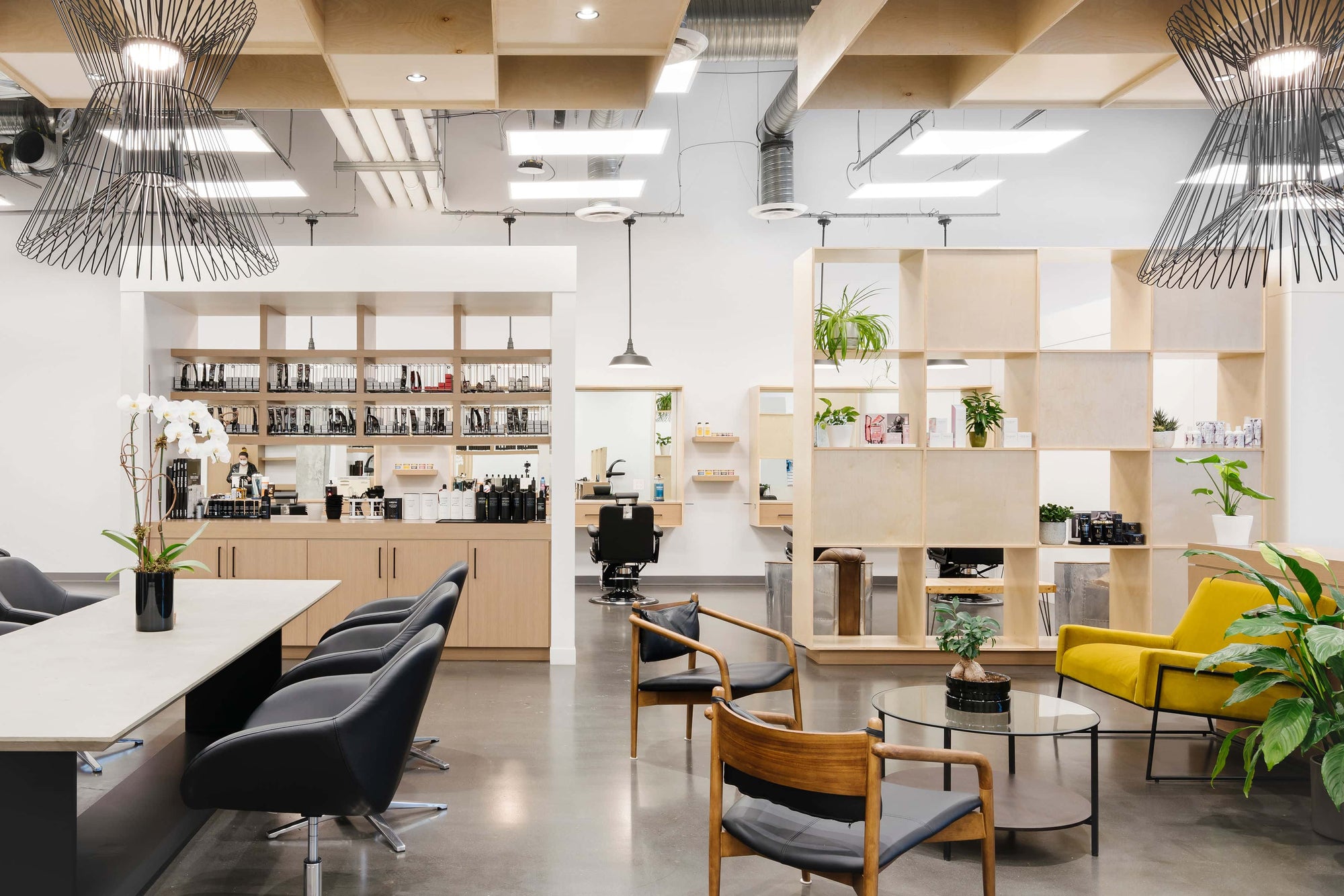 Curious Salons