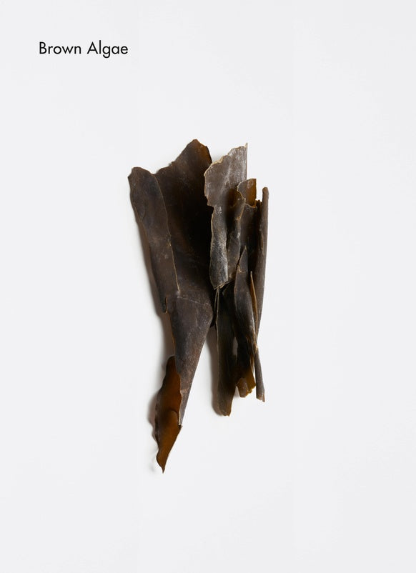 Spa Rich Firming Body Butter by La Biosthétique Paris