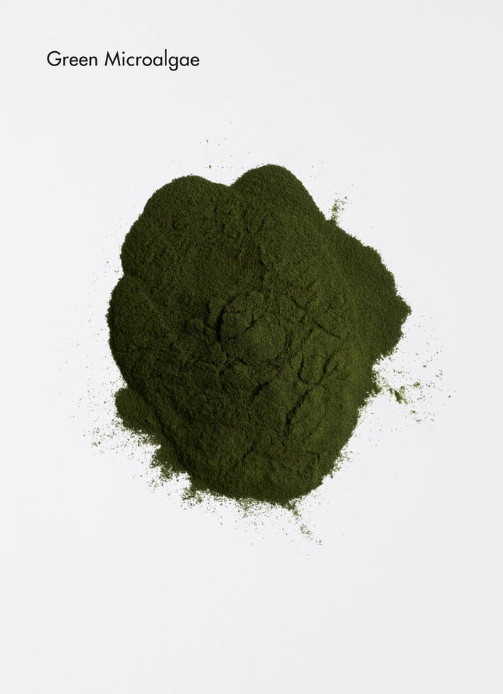 Green microalgae powder on a white background